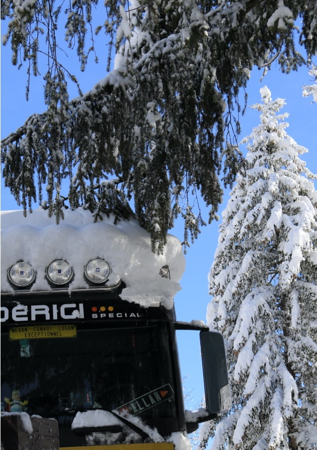 Friderici Special Notre Flotte Camions Et Semi Remorques Une Entreprise De Transport Suisse Pour Repondre A Vos Problematiques