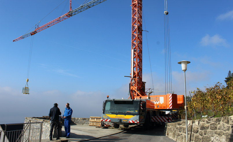 Friderici Special Grue Mobile De Construction Liebherr Mk 88 Image 02